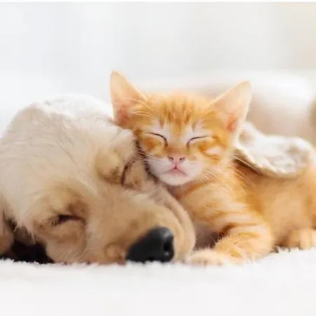 Villa La Maison De Westende *