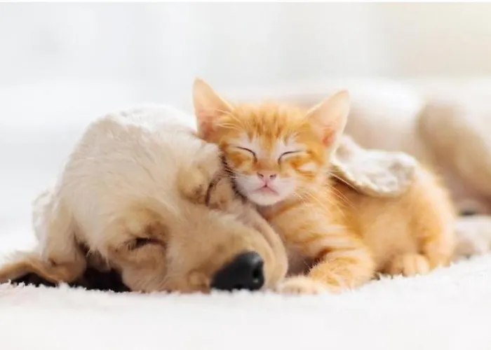 Villa La Maison De Westende *